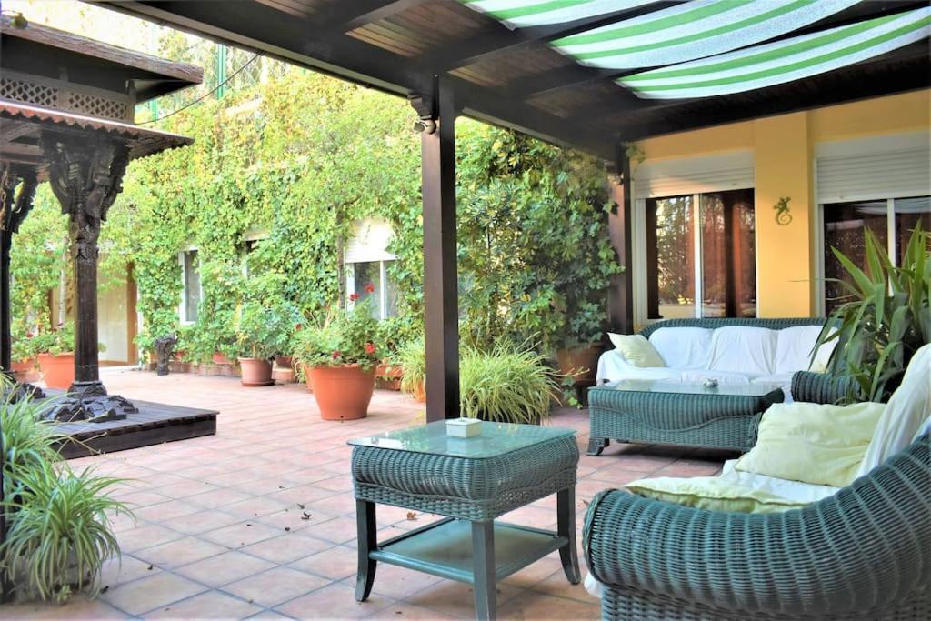 Casa Con Terrazas Apartment ซาราโกซา ภายนอก รูปภาพ