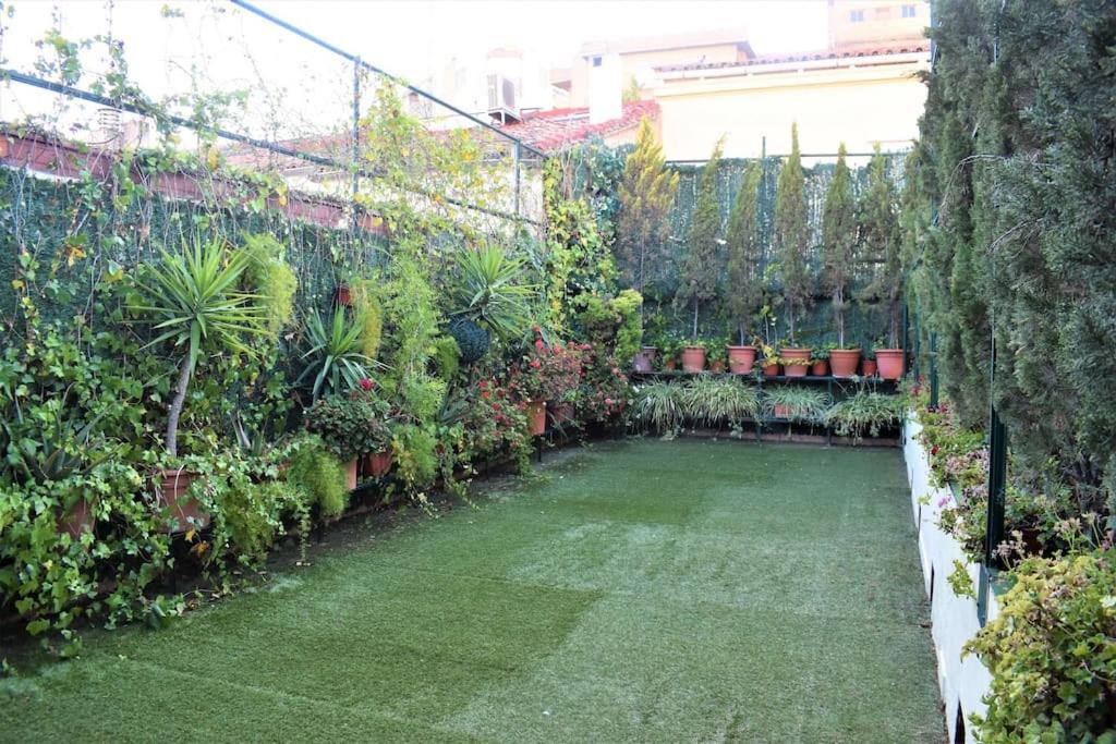 Casa Con Terrazas Apartment ซาราโกซา ภายนอก รูปภาพ